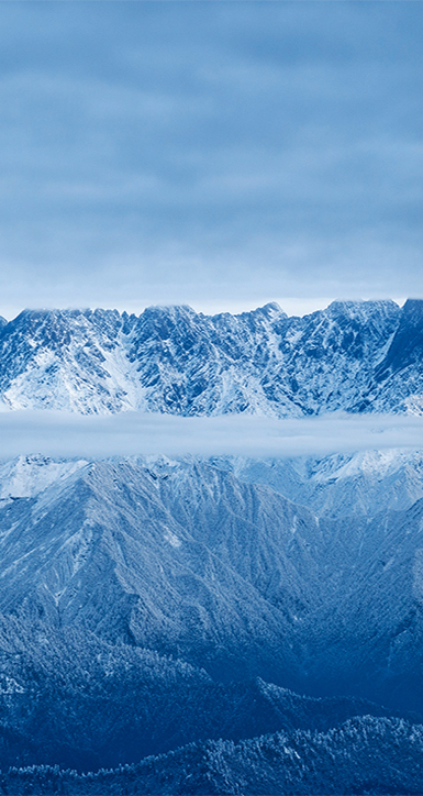 关于云顶集团3118